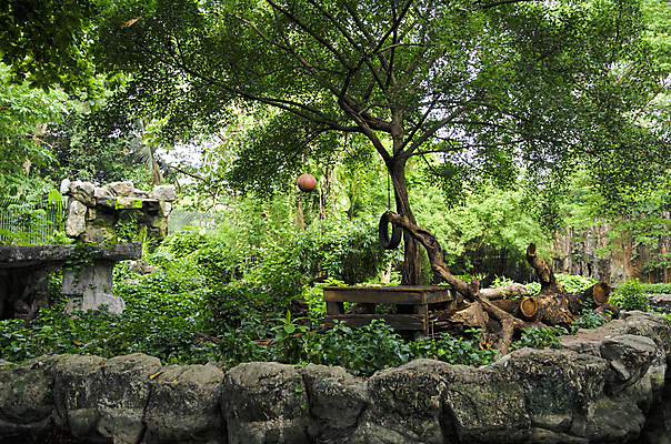 포토 JPG 해외이미지 나무 전통 디자인 옷 계절 공원 꽃 여행 백그라운드 패턴 밭 비즈니스 건축양식 바지 자연 탁자 표면 휴가 주택 프레임 미술 풍경 사람없음 야외 내부 건물 목재 장식 초록색 파란색 빛 청춘 태양 갈색 유행 어둠 놀람 공백 폭포 수확 흰색 직물 도시 면 숲 남색 싱글 질감 복고 땀 캔버스 섬유 내추럴 그런지 옛날 스타일 해외202004 해외포토 자연요소 식물 건축물 공공시설 건축 감정 컬러 가구 컨셉 무늬 농업 재료 하의 문화예술 표정 생태계 파일형식 이미지허브