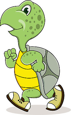 EPS 해외이미지 동물 캐릭터 디자인 일러스트 사람없음 초록색 달리기 거북이 해외202004 해외일러스트 일러캐릭터 컬러 파충류 모션 파일형식 벡터 이미지허브