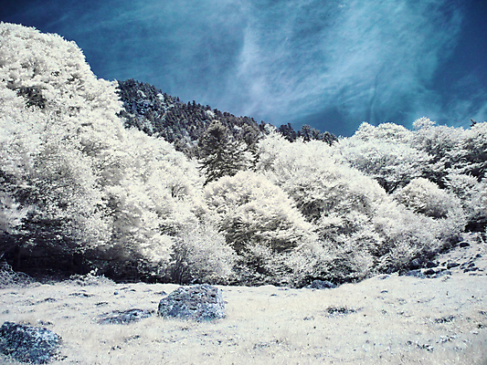포토 JPG 해외이미지 나무 식물 구름 공원 잎 자연 하늘 산 풍경 사람없음 야외 파란색 환경 나뭇가지 시골 숲 침엽수 적외선 해외202004 해외포토 자연요소 공공시설 컬러 생태계 파일형식 이미지허브