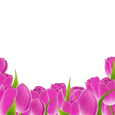 EPS 해외이미지 식물 디자인 계절 공원 꽃잎 꽃 줄기 분홍색 백그라운드 잎 꽃무늬 밭 일러스트 자연 휴가 발렌타인데이 미술 야외 장식 초록색 여름 태양 정원 맑음 보라색 봄 튤립 벚꽃 축하 신선 신용카드 생일 오브젝트 에코 보케 초대 많음 카피스페이스 해외202004 해외일러스트 자연요소 공공시설 기념일 컬러 컨셉 무늬 농업 데이이벤트 날씨 문화예술 금융 환경 공백 생태계 파일형식 벡터 이미지허브