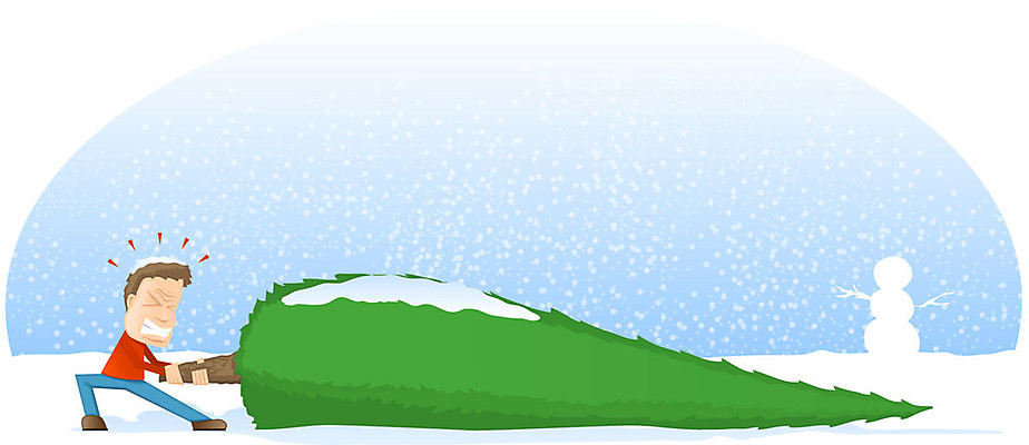 EPS 해외이미지 클립아트 나무 캐릭터 디자인 계절 백그라운드 크리스마스 겨울 일러스트 휴가 요정 파노라마 장식 크리스마스트리 파티 인사 소나무 신용카드 눈송이 좌절 큼 만화 자르기 코믹 전나무 눈보라 엘리먼트 헬프 혼자 크리스마스배경 해외202004 해외일러스트 일러캐릭터 식물 기념일 감정 컨셉 모션 촬영기법 이벤트 금융 눈 예절 도움 크기 파일형식 벡터 이미지허브