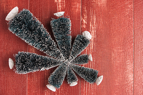 포토 JPG 해외이미지 나무 1 계절 리본 종이 백그라운드 크리스마스 겨울 밭 탁자 하늘 휴가 새로움 선물 사람없음 야외 목재 장식 초록색 장난감 갈색 우주 미니어처 흰색 축하 인사 숲 작음 연도 상록수 노끈 바늘땀 핸드메이드 해외202004 해외포토 식물 기념일 줄 컬러 가구 컨셉 농업 재료 모형 예절 크기 파일형식 이미지허브