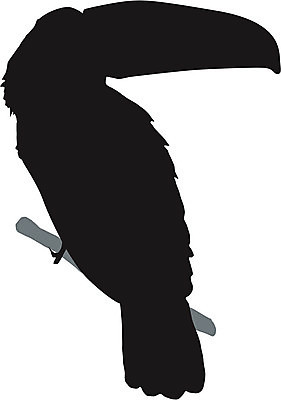 EPS 해외이미지 모양 동물 디자인 실루엣 포즈 백그라운드 날개 일러스트 조류 형상 미술 자유 흰색 문신 깃털 사인 그림 꼬리 스타일 해외202004 해외일러스트 컬러 컨셉 문화예술 촬영기법 파일형식 벡터 이미지허브