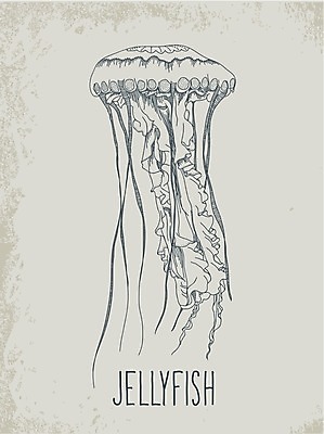 EPS 해외이미지 동물 손 디자인 배너 실루엣 종이 야생동물 선 바다 백그라운드 패턴 일러스트 자연 추상 휴가 어류 미술 그래픽 물 수중 수확 신용카드 우아함 낙서 만화 스케치 잠수함 문신 그림 질감 복고 해파리 내추럴 그런지 엘리먼트 해외202004 해외일러스트 자연요소 컨셉 무늬 농업 문화예술 촬영기법 신체부위 금융 수중동물 자포동물 생태계 파일형식 벡터 이미지허브