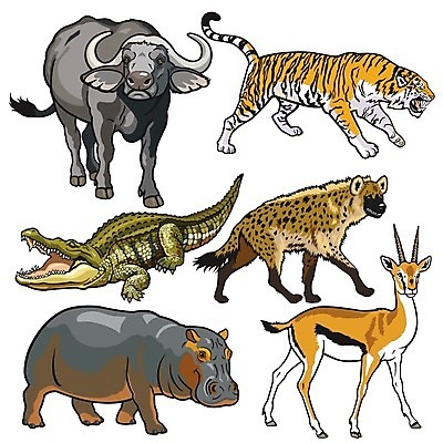 EPS 해외이미지 동물 척추동물 야생동물 일러스트 포유류 아프리카 자연 초식동물 동물원 세트 환경 점 호랑이 황무지 수집 사파리 대륙 흰배경 그림 생물학 육식동물 악어 하마 가젤 고립 동물상 해외202004 해외일러스트 교육 나라 백그라운드 파충류 조형물 흰색 생태계 파일형식 벡터 이미지허브
