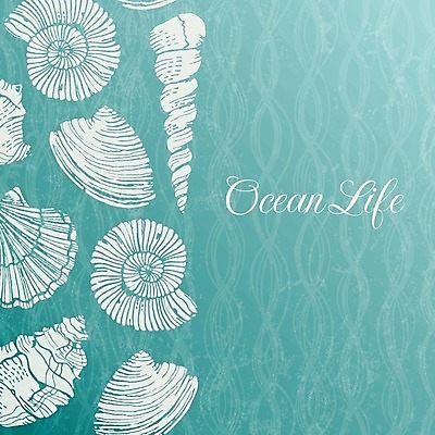 EPS 해외이미지 디자인 계절 종이 바다 백그라운드 일러스트 자연 벽지 추상 휴가 조개 생물 연체동물 프레임 나선형 갑각류 물 여름 파란색 수확 소용돌이 껍질 흰색 소라 스케치 수집 질감 복고 달팽이 손그림 그런지 앵무조개 포장소품 해외202004 해외일러스트 자연요소 동물 컬러 무늬 농업 포장 어패류 무척추동물 미술 회오리 오브젝트 생태계 포장재료 파일형식 벡터 이미지허브