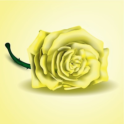 EPS 해외이미지 식물 디자인 기념일 꽃잎 꽃 줄기 꽃다발 백그라운드 잎 꽃무늬 데이트 일러스트 자연 휴가 발렌타인데이 선물 사랑 초록색 여름 장미 노란색 봄 벚꽃 흰색 축하 인사 신선 생일 가시 꽃집 오브젝트 싱글 초대 고립 해외202004 해외일러스트 계절 감정 컬러 컨셉 무늬 데이이벤트 이벤트 상점 예절 생태계 파일형식 벡터 이미지허브