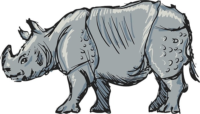 EPS 해외이미지 동물 야생동물 일러스트 포유류 자연 초식동물 뿔 검은색 게임 만화 스케치 피부 귀 손그림 멸종 코뿔소 해외202004 해외일러스트 컬러 놀이 미술 신체부위 생태계 파일형식 벡터 이미지허브