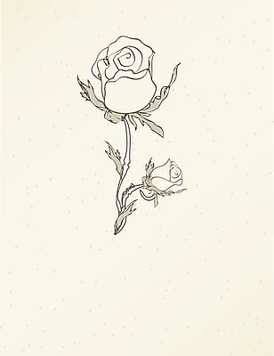 EPS 해외이미지 배너 꽃 분홍색 백그라운드 꽃무늬 일러스트 자연 발렌타인데이 사랑 미술 컬러풀 장미 축제 페인트 봄 수확 인사 스케치 심볼 그림 복고 초대 찢어짐 내추럴 그런지 파스텔톤 스타일 해외202004 해외일러스트 식물 계절 감정 컬러 무늬 농업 모션 데이이벤트 문화예술 예절 생태계 파일형식 벡터 이미지허브