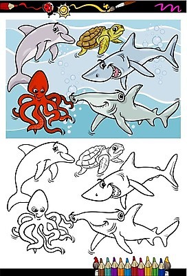 EPS 해외이미지 동물 교육 행복 바다 일러스트 포유류 파충류 자연 생물 연체동물 동물원 어류 미소 책 물 검은색 수중 유치원 껍질 흰색 그룹 거북이 치아 만화 돌고래 그림 지느러미 페이지 문어 상어 수족관 색칠공부 해외202004 해외일러스트 자연요소 감정 컬러 무척추동물 표정 학습 수중동물 색칠 소화기관 생태계 파일형식 벡터 장기 신체 이미지허브