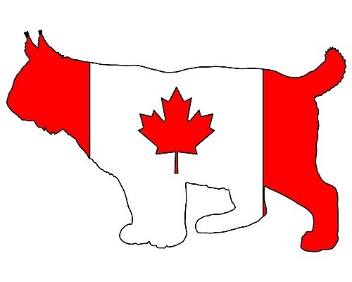 EPS 해외이미지 동물 배너 실루엣 백그라운드 단풍 잎 캐나다 일러스트 빨간색 검은색 고양이 미국 흰색 깃발 심볼 사인 북쪽 동물상 전국 스라소니 해외202004 해외일러스트 식물 컬러 북아메리카 포유류 촬영기법 반려동물 조형물 방향 파일형식 벡터 이미지허브