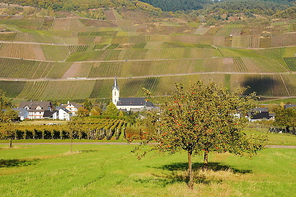 포토 JPG 해외이미지 사람없음 해외202004 해외포토 파일형식 이미지허브