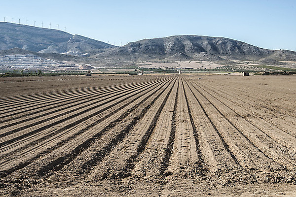 포토 JPG 해외이미지 계절 지구 백그라운드 패턴 밭 농업 자연 풍경 사람없음 농장 농경지 갈색 흙 봄 줄무늬 시골 땅 만취 먼지 땅바닥 밭일 쟁기 줄서기 파종 세련 해외202004 해외포토 산업 컬러 무늬 모션 바닥 농사 생태계 술취함 파일형식 이미지허브