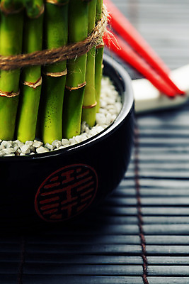 포토 JPG 해외이미지 식물 문화 선 음식 백그라운드 컨셉 잎 젓가락 탁자 밥 주택 사람없음 장식 빨간색 세로 초록색 일본 중국 성장 흰색 최고 행운 막대기 칼날 심볼 대나무 사인 심기 이국적 총쏘기 해외202004 해외포토 나무 아시아 컬러 가구 모션 수저 건물 파일형식 이미지허브