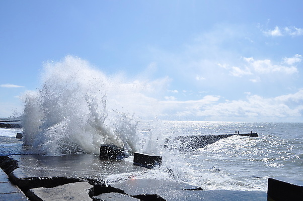 포토 JPG 해외이미지 물결 파도 바다 백그라운드 모션 자연 조류 표면 기술 안테나 풍경 사람없음 야외 물 여름 파란색 햇빛 어둠 활발 거품 흐름 흰색 거친 액체 서핑 떨어짐 지중해 속도 하와이 장면 분무기 용암 폭풍 S 내추럴 깊이 자취 터키석 효과 해외202004 해외포토 자연요소 동물 알파벳 계절 컬러 컨셉 통신 날씨 태양 미국 수상스포츠 보석 생태계 파일형식 이미지허브
