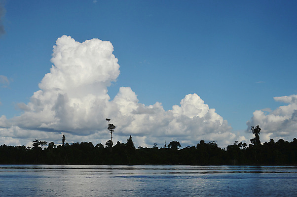 포토 JPG 해외이미지 구름 계절 하늘색 백그라운드 패턴 자연 하늘 날씨 추상 풍경 사람없음 야외 여름 파란색 빛 햇빛 태양 평화 우주 환경 맑음 침묵 자유 흰색 분위기 장면 천국 솜털 흐림 오존 해외202004 해외포토 자연요소 컬러 컨셉 무늬 소리 생태계 파일형식 이미지허브