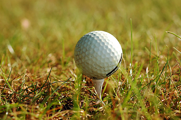 포토 JPG 해외이미지 스포츠 백그라운드 밭 골프 공 골프공 취미 사람없음 야외 초록색 경쟁 게임 흰색 골프티 여의주 해외202004 해외포토 컬러 컨셉 농업 놀이 골프용품 구기 파일형식 이미지허브