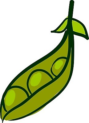 EPS 해외이미지 식물 음식 백그라운드 농업 토마토 채소 일러스트 재료 자연 양파 오이 건강 마늘 요리 미술 그래픽 초록색 여름 세트 주방 정원 당근 샐러드 수확 흰색 신선 맛 스케치 수집 먹기 그림 유기농 완두콩 양배추 날것 후추 내추럴 꼬투리 비건 해외202004 해외일러스트 웰빙 계절 산업 컬러 컨셉 모션 문화예술 콩 뿌리채소 향신료 생태계 채식주의자 파일형식 벡터 이미지허브