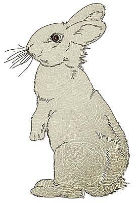 EPS 해외이미지 동물 손 디자인 종이 백그라운드 컨셉 곡선 일러스트 발 자연 미술 장식 머리 회색 토끼 그리기 스케치 콧수염 묘사 오브젝트 그림 귀 솜털 고립 스타일 해외202004 해외일러스트 선 컬러 포유류 모션 문화예술 수염 신체부위 반려동물 생태계 파일형식 벡터 이미지허브