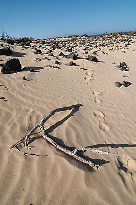 포토 JPG 해외이미지 길 모래 바다 여행 백그라운드 패턴 맨발 아프리카 자연 하늘 휴가 건조 따뜻함 풍경 사람없음 야외 목재 여름 평화 일출 산책 사막 탐험 뜨거움 고독 인쇄 발자국 모래언덕 질감 멀리 단계 사하라 방법 양발 자취 혼자 해외202004 해외포토 나무 계절 감정 나라 컨셉 무늬 재료 자국 발 휴식 노을 언덕 생태계 파일형식 이미지허브