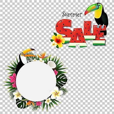 EPS 해외이미지 배너 꽃 과일 일러스트 텍스트 조류 수박 바나나 사람없음 쇼핑 태양 라벨 세일 코코넛 히비스커스 해외202004 해외일러스트 자연요소 식물 동물 프레임 파일형식 벡터 이미지허브