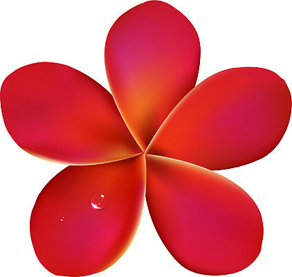 EPS 해외이미지 식물 디자인 배너 꽃잎 꽃 분홍색 백그라운드 일러스트 자연 열대 사랑 미술 빨간색 정원 스파 벚꽃 흰색 물방울 신용카드 심볼 오브젝트 하와이 향기 부드러움 환영 남쪽 말레이시아 고립 엘리먼트 이국적 하와이인 해외202004 해외일러스트 외국인 감정 아시아 컬러 문화예술 금융 미국 감각 방향 생태계 냄새 파일형식 벡터 이미지허브