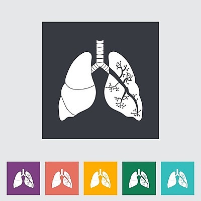 EPS 해외이미지 모양 웰빙 디자인 과학 신체 일러스트 해부 건강 미술 사람 내부 그래픽 세트 약 검은색 오르간 호흡기관 플랫 호흡 질병 심볼 생물학 외과 고립 궤 엘리먼트 해외202004 해외일러스트 교육 컬러 의학 문화예술 병원 장기_의학 건반악기 파일형식 벡터 이미지허브