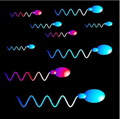 EPS 해외이미지 과학 일러스트 세포 현미경 씨앗 소녀 소년 빨간색 파란색 약 계란 임신 아기 액체 DNA 생명공학 분석 속도 생물학 염색체 짝짓기 바이오 복제 유전 해외202004 해외일러스트 식물 여자 교육 남자 어린이 컬러 컨셉 의학 실험기구 사람 알 파일형식 벡터 이미지허브