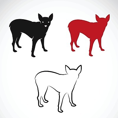 EPS 해외이미지 동물 응시 일러스트 공 놀이 3 미소 앉기 치료 빨간색 반려동물 장난감 갈색 카메라 검은색 우정 기쁨 미니어처 우아함 개 매끈함 작음 만화 테리어 날씬함 오브젝트 그림 고립 기르기 나루 심각 해외202004 해외일러스트 시선 감정 컬러 컨셉 포유류 의학 모션 표정 친구 전자제품 모형 감각 크기 몸매 돌봄 파일형식 벡터 이미지허브