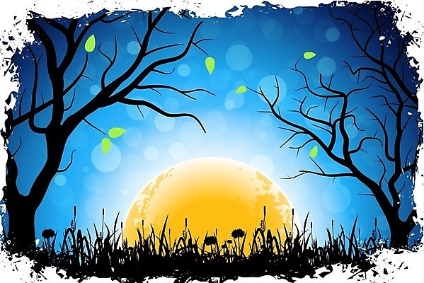 EPS 해외이미지 나무 계절 꽃 백그라운드 잎 일러스트 자연 하늘 풍경 사람없음 야외 여름 파란색 태양 일출 환경 침묵 활발 땅 장면 그런지 수평선 해외202004 해외일러스트 자연요소 식물 컬러 컨셉 노을 소리 생태계 파일형식 벡터 이미지허브