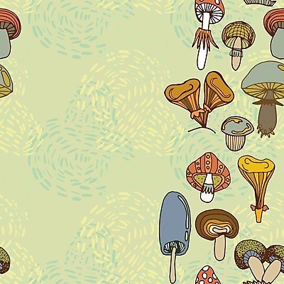 EPS 해외이미지 디자인 음식 백그라운드 패턴 일러스트 자연 벽지 추상 미술 사람없음 그래픽 장식 버섯 가을 흰색 직물 숲 만화 그림 유기농 질감 복고 내추럴 곰팡이 해외202004 해외일러스트 웰빙 계절 컬러 무늬 문화예술 생태계 파일형식 벡터 이미지허브