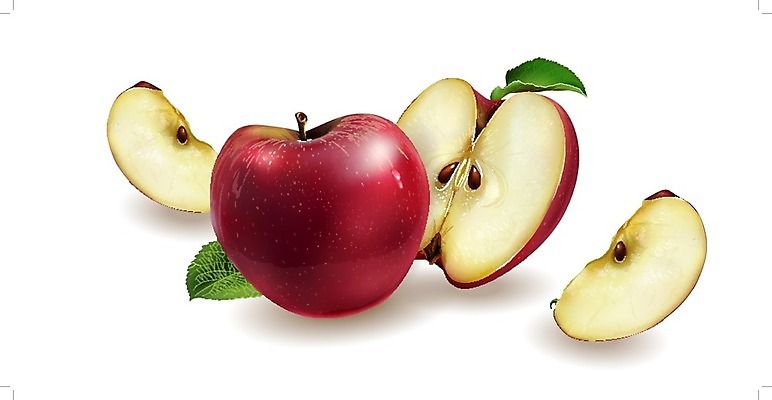 EPS 해외이미지 과일 일러스트 빨간색 사과 해외202004 해외일러스트 컬러 파일형식 벡터 이미지허브