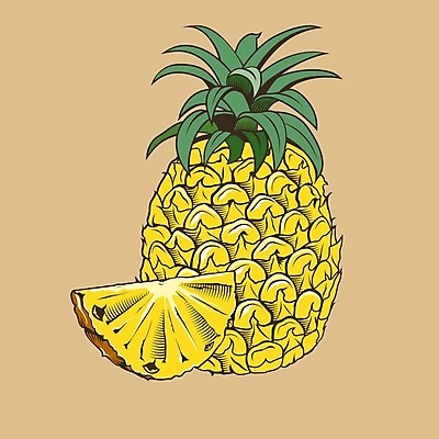 EPS 해외이미지 일러스트 단면 사람없음 노란색 파인애플 해외202004 해외일러스트 컬러 과일 열대과일 파일형식 벡터 이미지허브