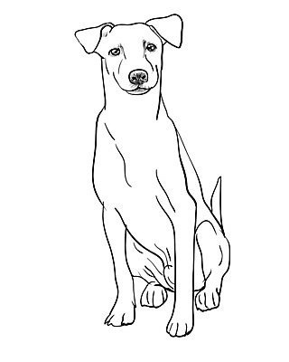 EPS 해외이미지 동물 남자 얼굴 일러스트 포유류 태국 앉기 반려동물 갈색 개 그림 귀 송곳니 노숙자 해외202004 해외일러스트 아시아 컬러 모션 사람 신체부위 치아 파일형식 벡터 이미지허브