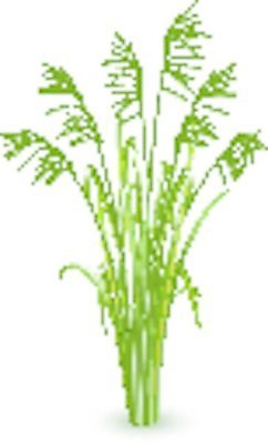 EPS 해외이미지 식물 배너 계절 공원 백그라운드 컨셉 잎 꽃무늬 패턴 밭 일러스트 자연 추상 잔디 가로 초록색 여름 환경 정원 봄 활발 성장 흰색 신선 칼날 보호 땅 원예 질감 내추럴 고립 생태학 해외202004 해외일러스트 공공시설 교육 꽃 컬러 무늬 농업 취미 생태계 파일형식 벡터 이미지허브