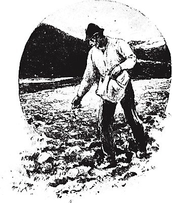 EPS 해외이미지 직업 일러스트 자연 노동자 미술 씨앗 사람 농장 검은색 골동품 성장 흰색 작업 역사 땅 종업원 뿌리기 그림 유기농 판화 내추럴 밭일 옛날 파종 해외202004 해외일러스트 식물 웰빙 컬러 농업 모션 문화예술 농사 생태계 파일형식 벡터 이미지허브