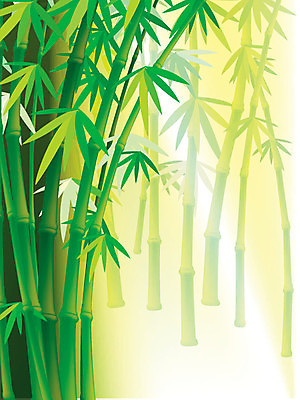 EPS 해외이미지 나무 식물 아시아 문화 선 줄기 백그라운드 잎 패턴 일러스트 자연 추상 장식 초록색 환경 정원 일본 중국 활발 성장 흰색 나뭇가지 신선 행운 대나무 원예 동쪽 내추럴 고립 생태학 총쏘기 세련 해외202004 해외일러스트 교육 나라 컬러 컨셉 무늬 모션 취미 방향 생태계 파일형식 벡터 이미지허브