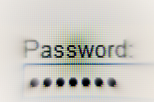 포토 JPG 해외이미지 아이콘 인터넷 비즈니스 주택 안전 사람없음 노트북 전자제품 컴퓨터 사무실 상점 디지털 스크린 모니터 공책 웹 암호 쥐 시작 보안 상업 커서 클릭 온라인 통과 인터넷주소 로그인 소프트웨어 하드웨어 가상 코딩 해외202004 해외포토 문구용품 건물 설치류 컴퓨터교육 파일형식 이미지허브