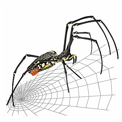 EPS 해외이미지 야생동물 곤충 절지류 일러스트 자연 노란색 정원 일본 검은색 웹 줄무늬 벌레 8 위험 무서움 실크 육식동물 거미 사냥꾼 해외202004 해외일러스트 동물 직업 감정 아시아 컬러 컨셉 무늬 인터넷 숫자 직물 생태계 파일형식 벡터 이미지허브