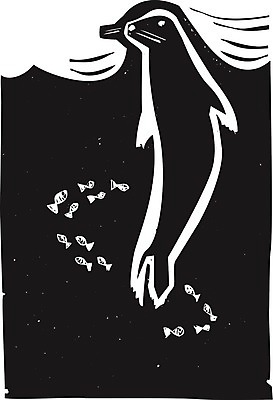 EPS 해외이미지 동물 야생동물 바다 백그라운드 일러스트 포유류 자연 수염 항구 황무지 물개 북극 피부 동물상 목판화 해외202004 해외일러스트 교통시설 신체부위 조형물 바다동물 극지방 생태계 파일형식 벡터 이미지허브