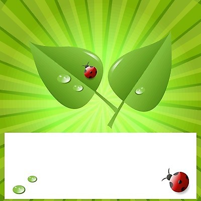 EPS 해외이미지 나무 식물 계절 꽃잎 꽃 야생동물 곤충 백그라운드 컨셉 잎 일러스트 자연 추상 건강 안전 빨간색 초록색 물 여름 빛 컴퓨터 라벨 환경 봄 에너지 성장 나뭇가지 떨어짐 보호 만화 편지 딱정벌레 심볼 유기농 무당벌레 생태학 해외202004 해외일러스트 자연요소 동물 웰빙 교육 컬러 무늬 프레임 전자제품 생태계 파일형식 벡터 이미지허브