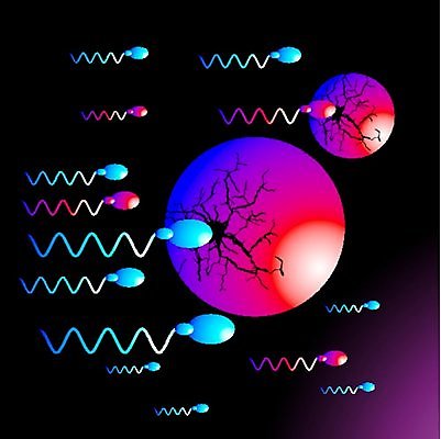 EPS 해외이미지 과학 일러스트 세포 현미경 씨앗 소녀 소년 빨간색 파란색 약 계란 임신 아기 액체 DNA 생명공학 분석 속도 생물학 염색체 짝짓기 바이오 복제 유전 해외202004 해외일러스트 식물 여자 교육 남자 어린이 컬러 컨셉 의학 실험기구 사람 알 파일형식 벡터 이미지허브