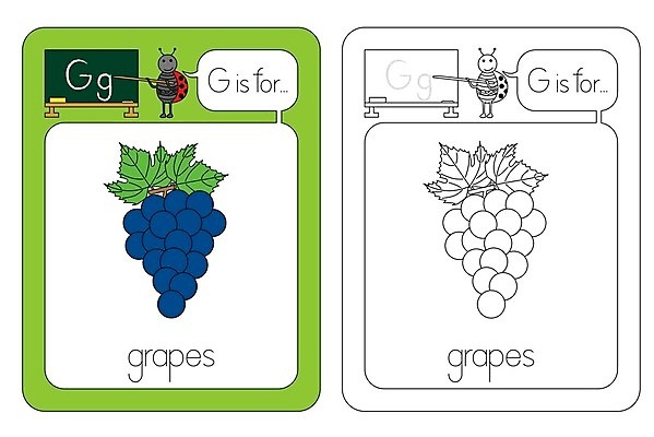 EPS 해외이미지 알파벳 영어 교육 일러스트 학교 포도 독서 검은색 칠판 흰색 가르침 만화 편지 그림 윤곽 무당벌레 필기체 문해 해외202004 해외일러스트 문자 컬러 곤충 과일 파일형식 벡터 이미지허브