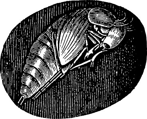 EPS 해외이미지 선 일러스트 미술 사람없음 검은색 흰색 그림 판화 땅바닥 변태 해외202004 해외일러스트 컬러 문화예술 바닥 파일형식 벡터 이미지허브