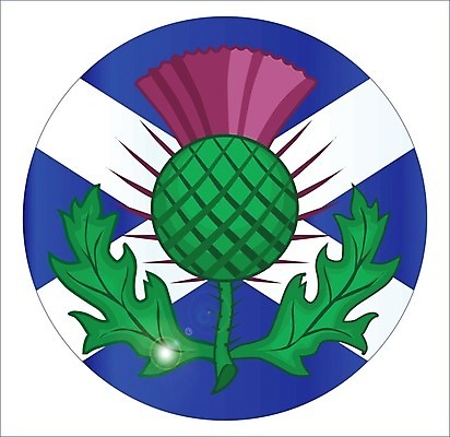 EPS 해외이미지 일러스트 영국 미술 그래픽 파란색 흰색 깃발 심볼 그림 배지 엉겅퀴 스코틀랜드 해외202004 해외일러스트 꽃 유럽 컬러 문화예술 파일형식 벡터 이미지허브