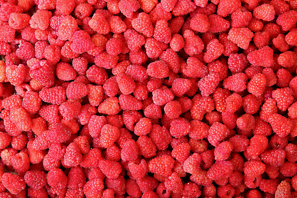 포토 JPG 해외이미지 열매 음식 백그라운드 다이어트 과일 재료 디저트 건강 사람없음 가로 빨간색 컬러풀 활발 신선 달콤 맛 잼 유기농 질감 날것 산딸기 진홍색 흙더미 내추럴 숙성 채식주의자 많음 해외202004 해외포토 식물 웰빙 컬러 컨셉 흙 소스_음식 채식 파일형식 더미 이미지허브