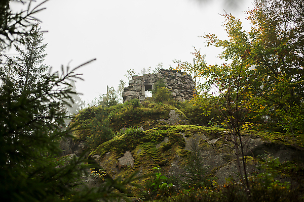 포토 JPG 해외이미지 나무 식물 공원 유럽 길 여행 자연 산 국립공원 이끼 풍경 사람없음 야외 초록색 평화 침묵 하이킹 가을 바위 소나무 황무지 분위기 숲 오솔길 9월 언덕 장면 마법 미로 거인 삼림지대 옛날 전국 화강암 해외202004 해외포토 계절 공공시설 나라 컬러 컨셉 레저 소리 암석 돌_바위 날짜 생태계 파일형식 이미지허브