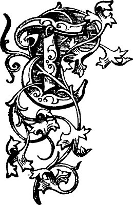 EPS 해외이미지 선 잎 일러스트 미술 사람없음 장식 검은색 흰색 편지 그림 판화 T 해외202004 해외일러스트 식물 알파벳 컬러 문화예술 파일형식 벡터 이미지허브