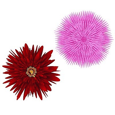 EPS 해외이미지 식물 디자인 기념일 꽃잎 꽃 분홍색 꽃무늬 일러스트 자연 휴가 국화 발렌타인데이 선물 미술 그래픽 장식 빨간색 여름 컬러풀 정원 봄 벚꽃 가을 축하 신선 개화 그룹 우아함 묘사 오브젝트 부드러움 고립 제안 스타일 해외202004 해외일러스트 계절 컬러 컨셉 무늬 데이이벤트 문화예술 이벤트 감각 생태계 파일형식 벡터 이미지허브