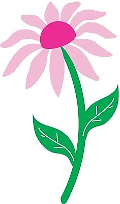 EPS 해외이미지 식물 계절 꽃잎 꽃 행복 줄기 잎 꽃무늬 패턴 채소 오렌지 일러스트 자연 해바라기 씨앗 여름 햇빛 태양 갈색 노란색 정원 봄 벚꽃 개화 꽃집 묘사 유기농 원예 꽃가루 정맥 내추럴 고립 꽃수술 넘어짐 필라멘트 현실 해외202004 해외일러스트 자연요소 웰빙 감정 컬러 무늬 과일 모션 취미 빛 상점 가루 생태계 혈관 파일형식 벡터 장기 신체 이미지허브